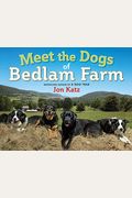 Meet The Dogs Of Bedlam Farm