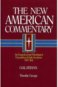 Galatians, 30: An Exegetical And Theological Exposition Of Holy Scripture