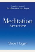 Meditation Now or Never