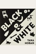 Black & White Board Book: A High Contrast Book For Newborns