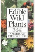 Field Guide To North American Wild Edible Plants