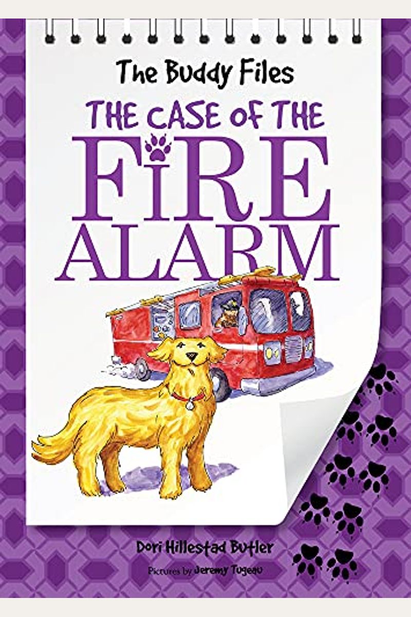 The Case Of The Fire Alarm