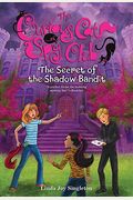 The Secret Of The Shadow Bandit: 4