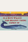 Is A Blue Whale The Biggest Thing There Is?