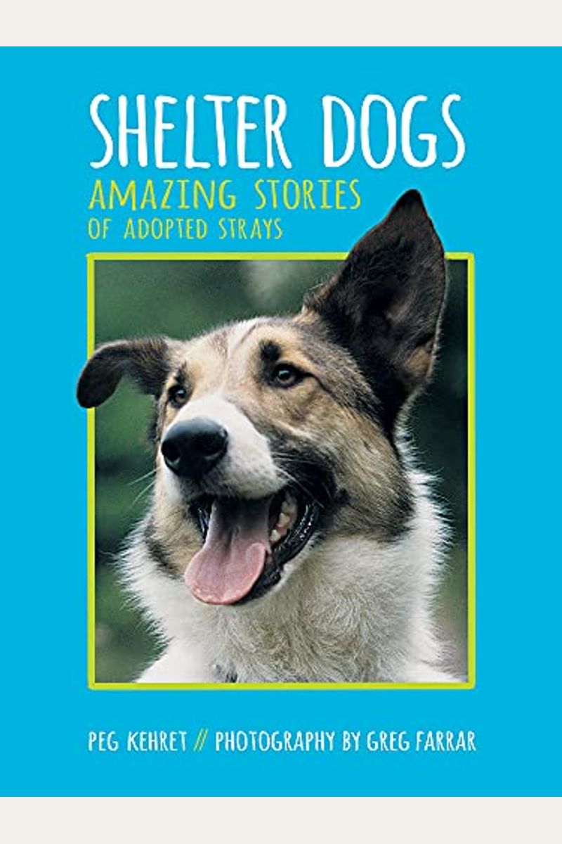 Shelter Dogs: Amazing Stories Of Adopted Strays