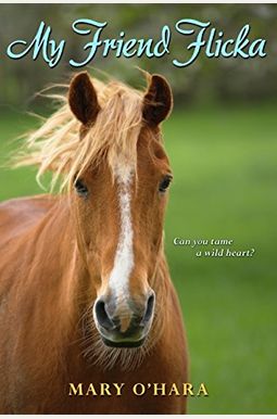 My Friend Flicka My Friend Flicka