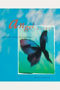 Angel Catcher: A Journal Of Loss And Remembrance (Grief Recovery Handbook, Books About Loss, Bereavement Journal)