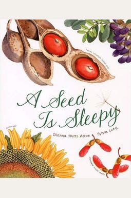 A Seed Is Sleepy A Seed Is Sleepy
