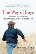 The Way Of Boys: Raising Healthy Boys In A Challenging And Complex World