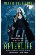 Afterlife: The Resurrection Chronicles
