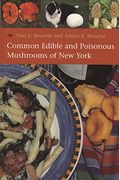 Common Edible And Poisonous Mushrooms Of New York