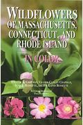 Wildflowers Of Massachusetts, Connecticut, And Rhode Island In Color