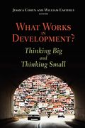 What Works In Development?: Thinking Big And Thinking Small