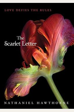 The Scarlet Letter The Scarlet Letter
