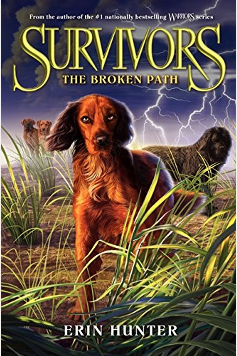 Rising Storm (Warriors (Erin Hunter) #4) (Prebound)