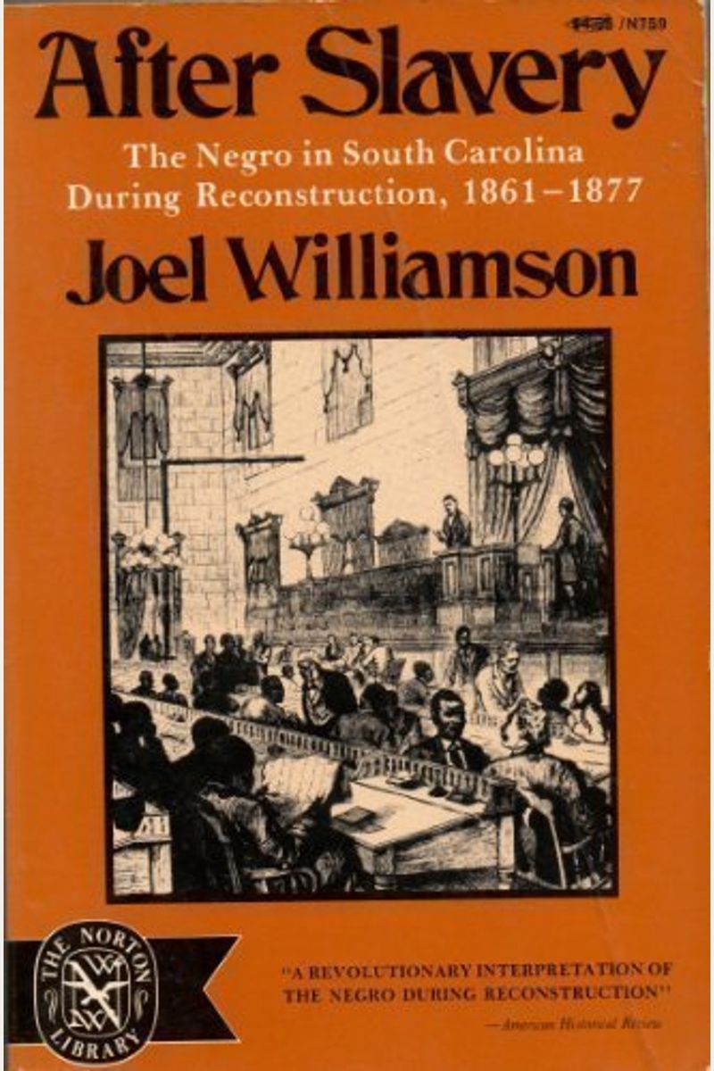 Buy After Slavery: The Negro In South Carolina During Reconstruction ...
