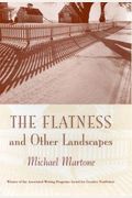 The Flatness and Other Landscapes