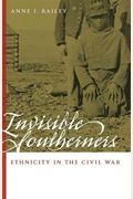 Invisible Southerners: Ethnicity In The Civil War