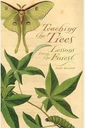 Teaching The Trees: Lessons From The Forest