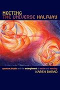 Meeting The Universe Halfway: Quantum Physics And The Entanglement Of Matter And Meaning