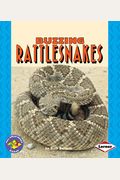 Buzzing Rattlesnakes