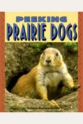 Peeking Prairie Dogs (Pull Ahead Books)