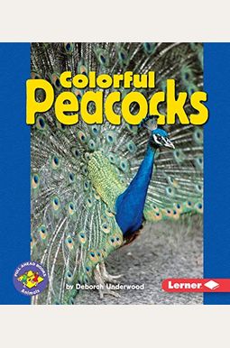 Colorful Peacocks Colorful Peacocks