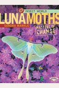 Luna Moths: Masters Of Change