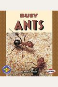Busy Ants (Pull Ahead Books)