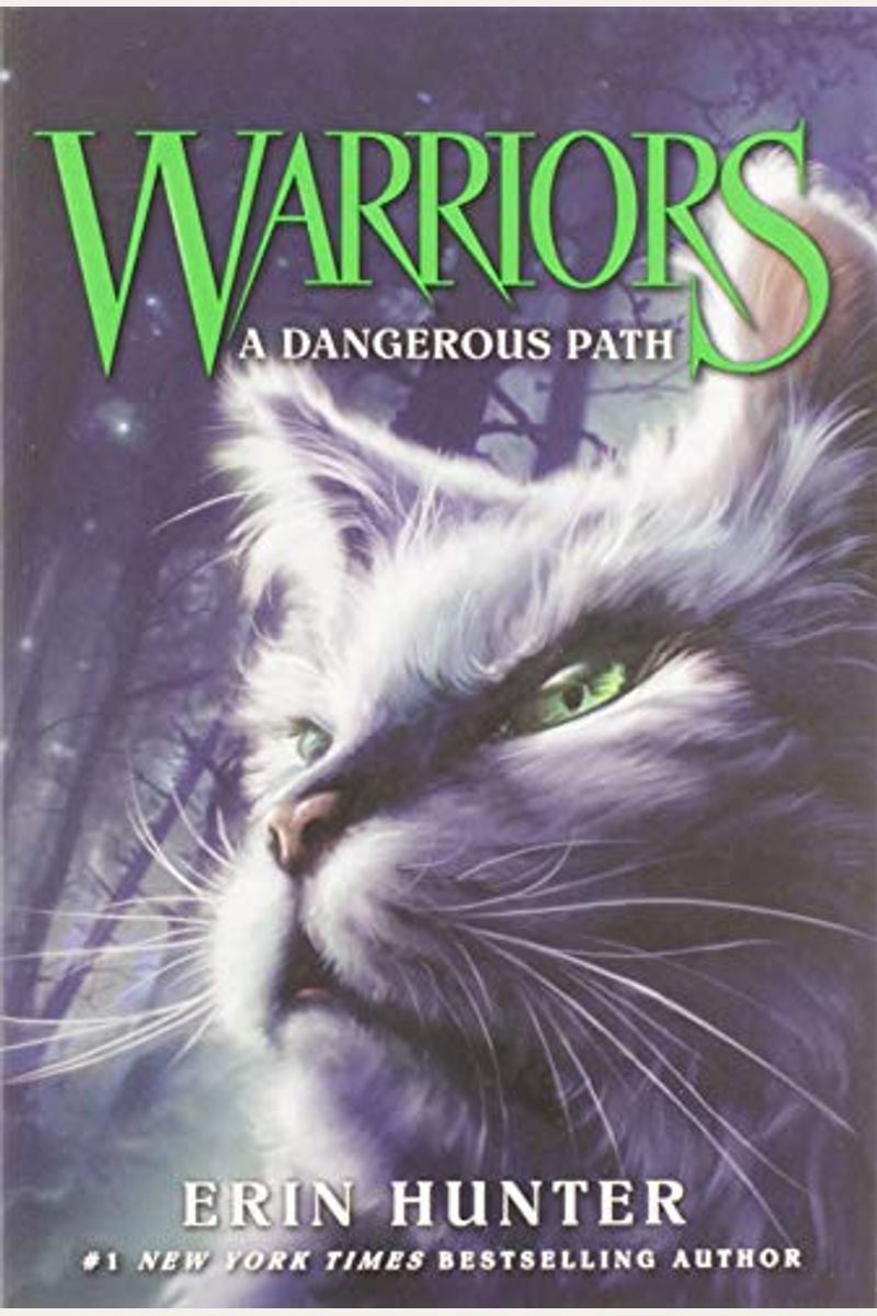 Midnight (Warriors: The New Prophecy Series #1) by Erin Hunter, Dave  Stevenson, Paperback