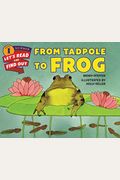 From Tadpole To Frog (Turtleback School & Library Binding Edition)