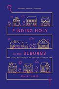Finding Holy In The Suburbs: Living Faithfully In The Land Of Too Much