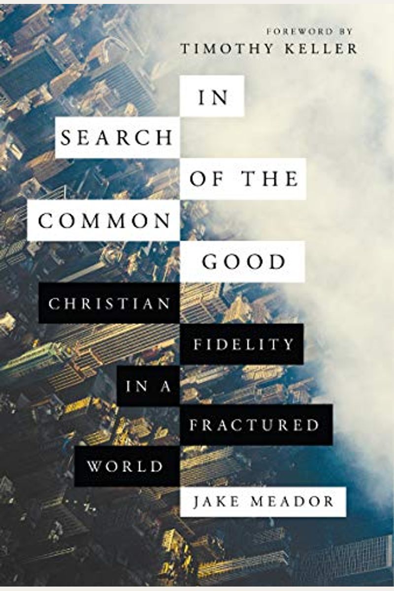 In Search Of The Common Good: Christian Fidelity In A Fractured World