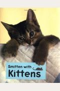 Title: SMITTEN WITH KITTENS (LITTLE BOOKS)