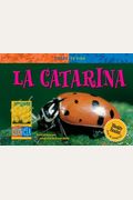 La Catarina (Ladybug)