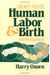 Human Labor & Birth