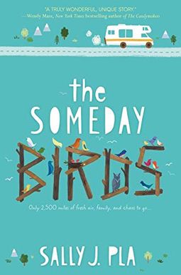The Someday Birds The Someday Birds