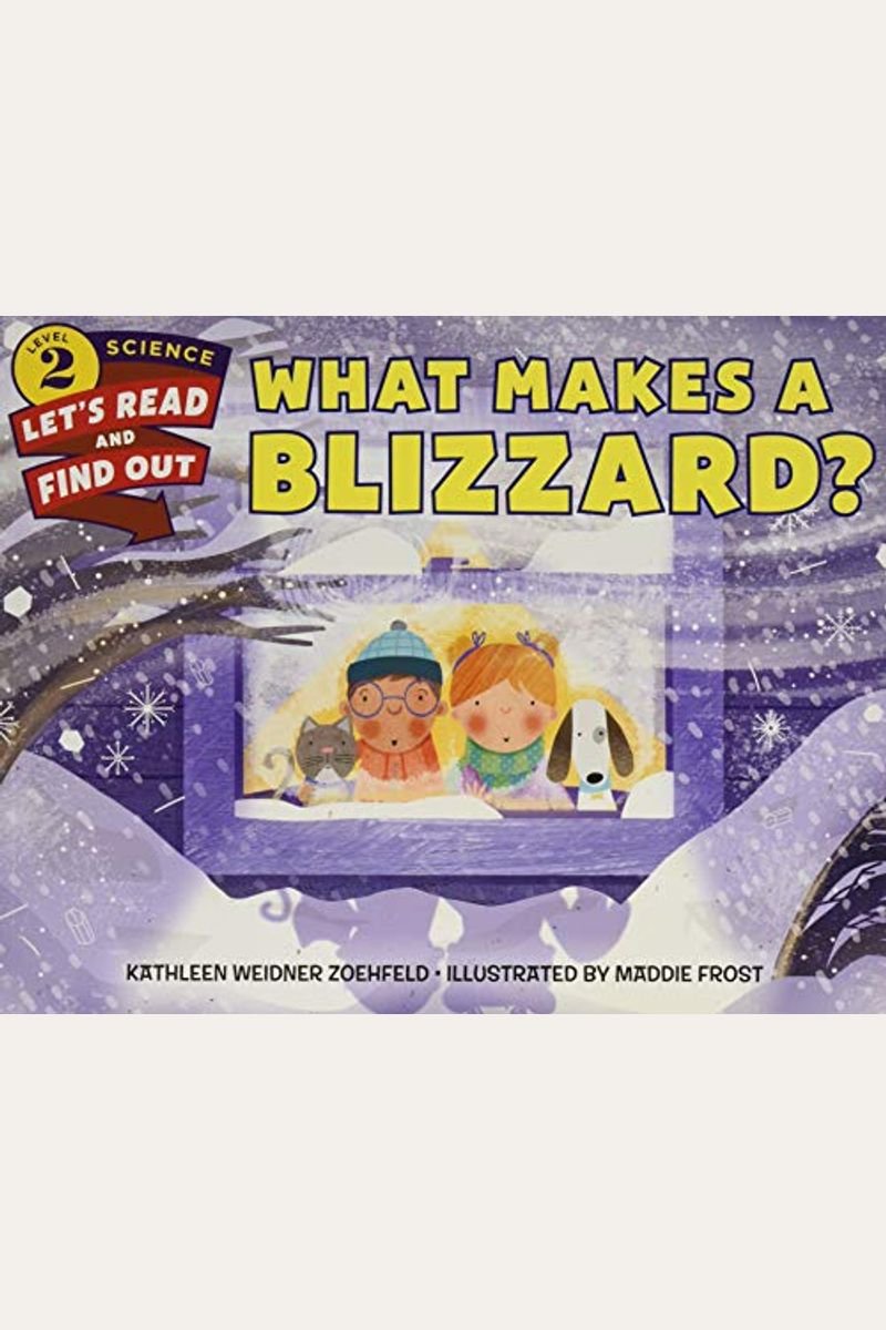 What Makes A Blizzard?