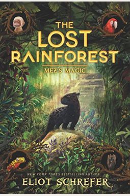 The Lost Rainforest: Mez's Magic The Lost Rainforest: Mez's Magic
