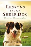 Lessons From A Sheep Dog