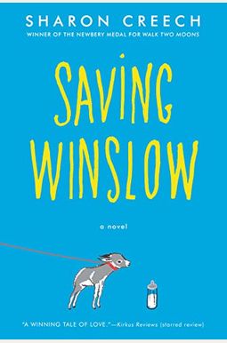 Saving Winslow Saving Winslow