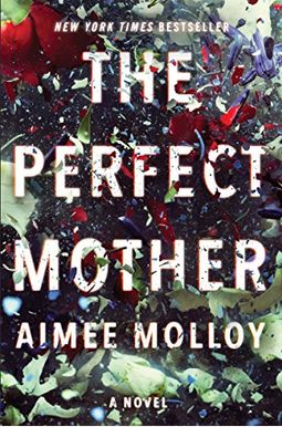 The Perfect Mother The Perfect Mother