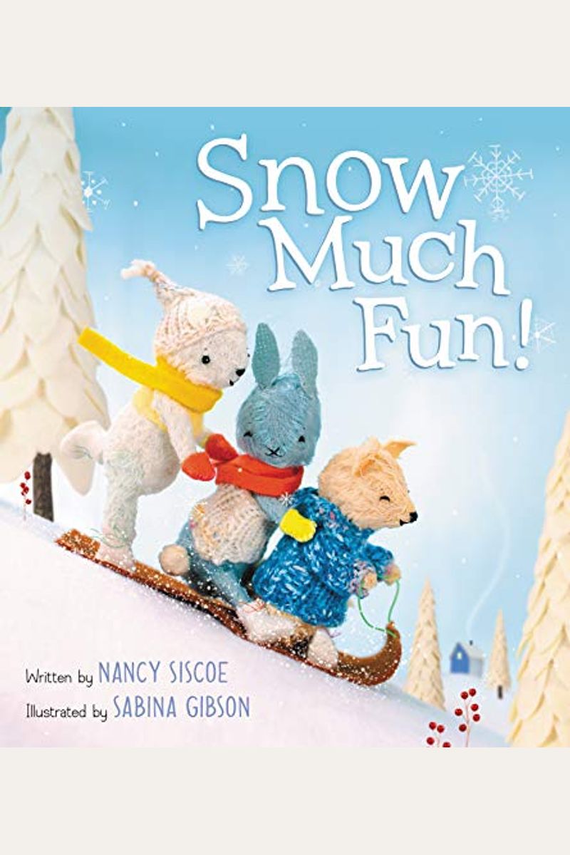Snow Much Fun!: A Winter And Holiday Book For Kids