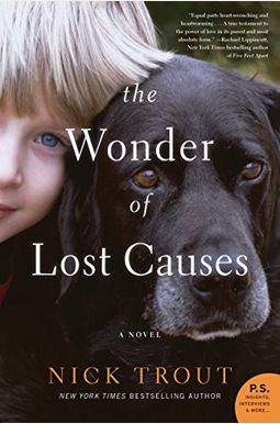 The Wonder Of Lost Causes The Wonder Of Lost Causes