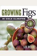 Growing Figs in Cold Climates: A Complete Guide