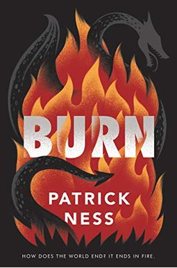 Burn Burn