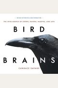 Bird Brains: The Intelligence Of Crows, Ravens, Magpies, And Jays