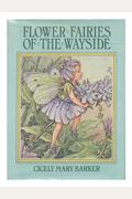 Flower fairies of the wayside: Poems and pictures