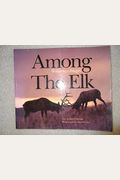 Among The Elk: Wilderness Images