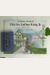 A Picture Book Of Martin Luther King, Jr. [With Hardcover Book]